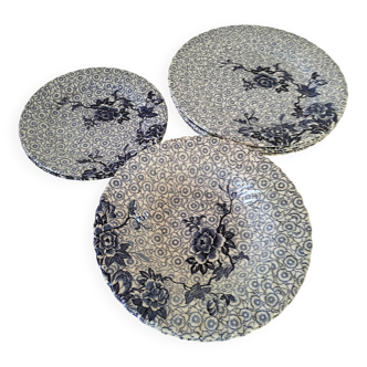Set of 9 Johnson Brothers plates in the Lotus pattern.