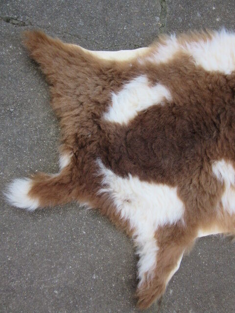 Peau de mouton