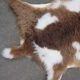 Peau de mouton