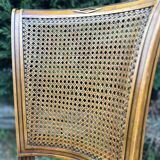 2 cane and velvet armchairs