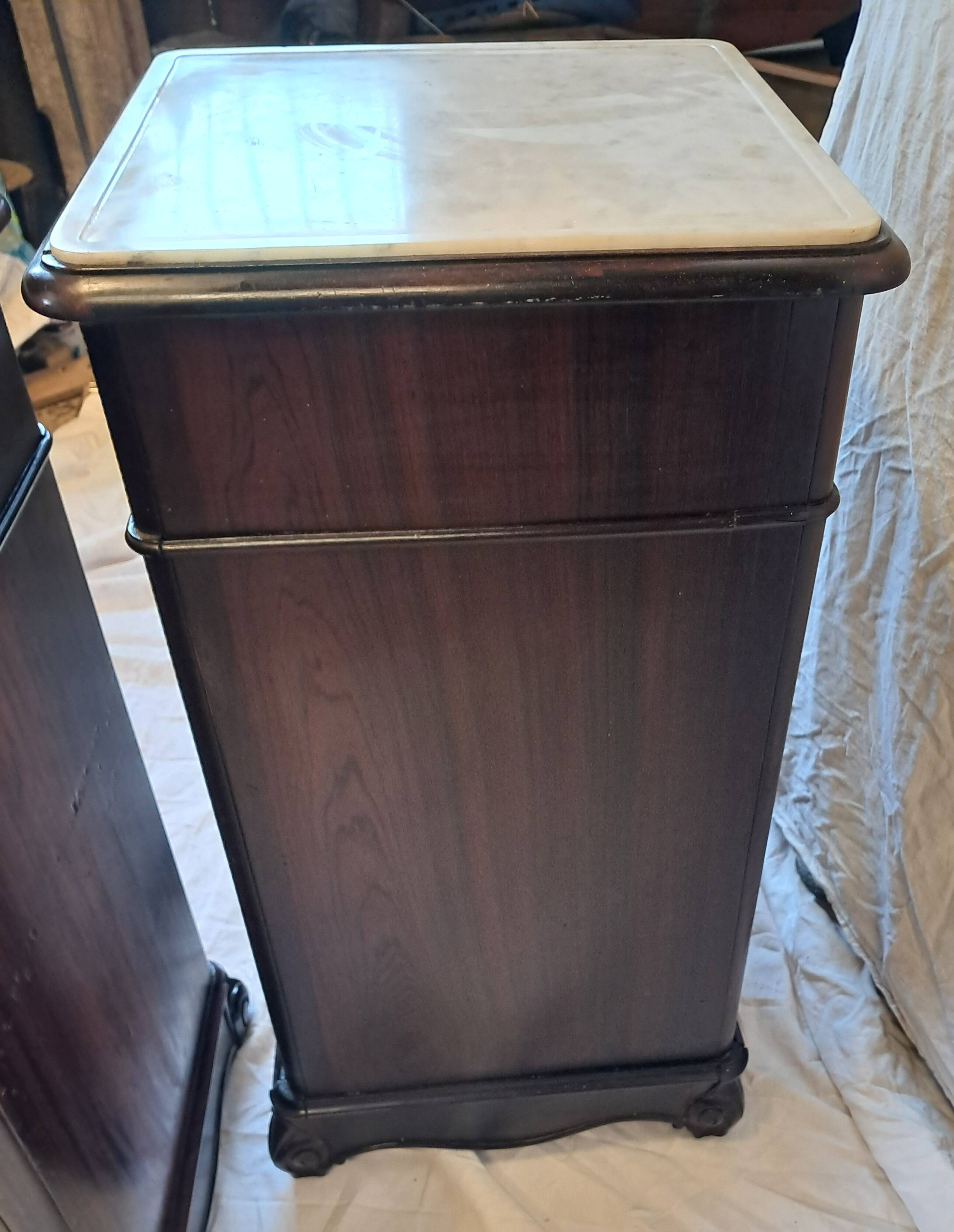 Pair of 19th century rosewood bedside tables