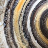 Ceramic dish of the 2 potters with decoration in concentric circles in shades of yellow, brown and white