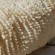 Fungia vintage corail