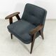 Mid Century Armchair "366" Designed By Józef Chierowski, Poland, 1960's