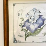 Iris flower on paper with vintage wooden frame