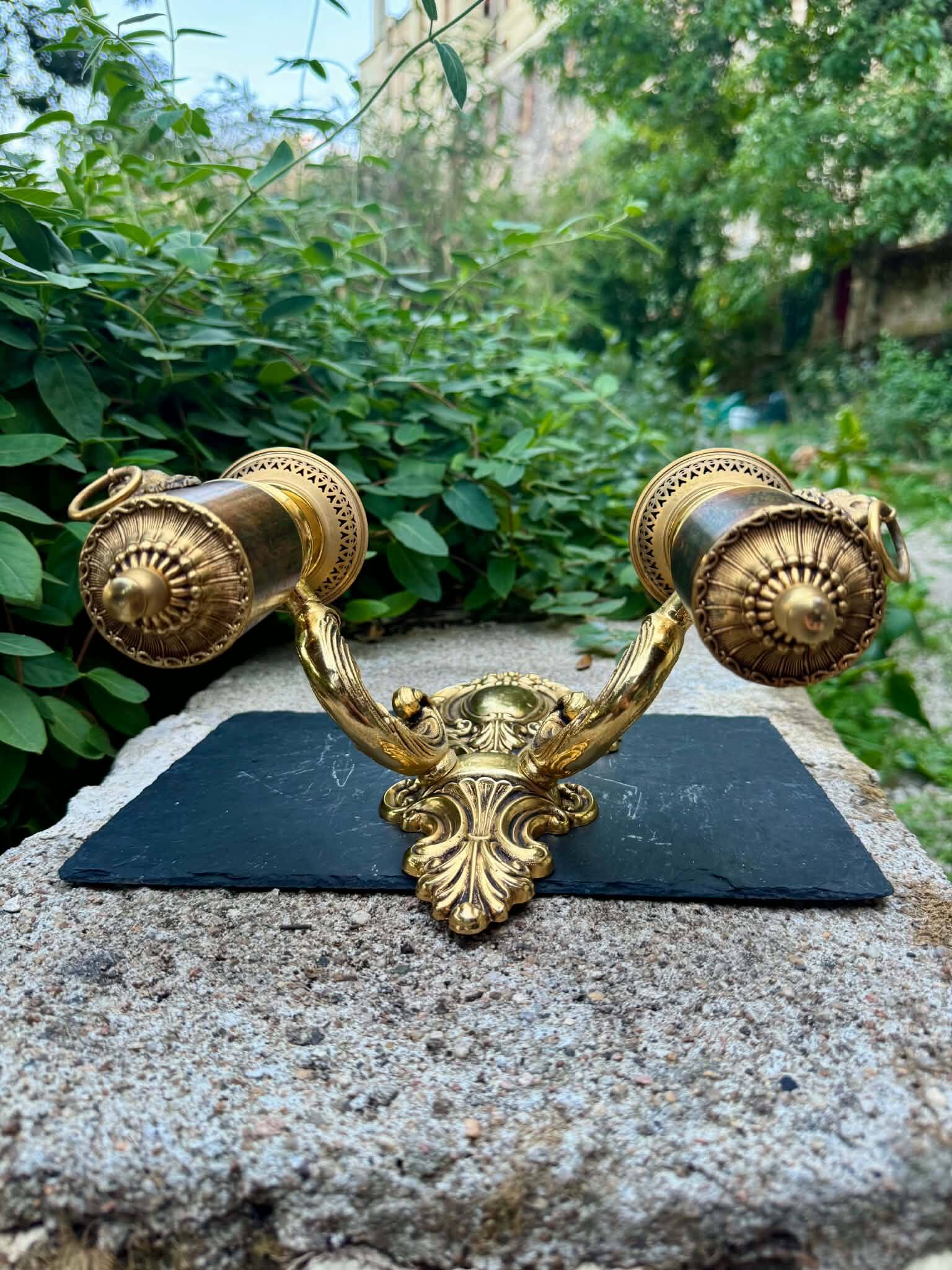 Wall light with 2 branches in baroque brass lion design.
