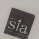 Vase Sia Home Fashion. Celestial Sphere design. Decor with birds/Chimeras.