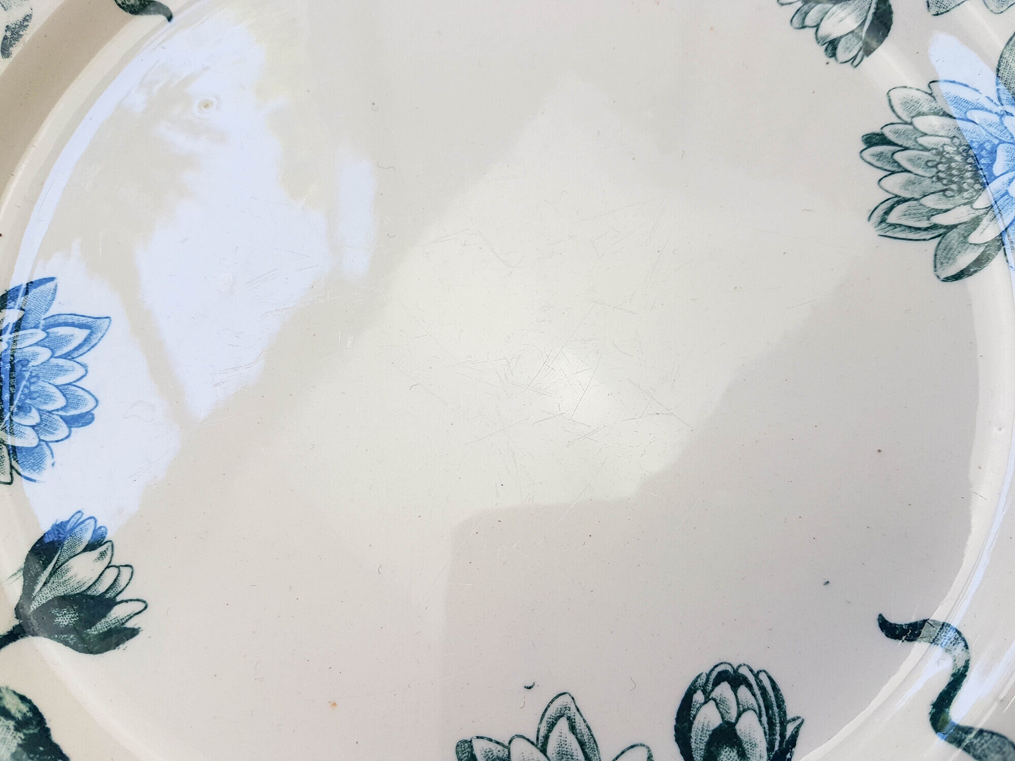 Lot de 6 assiettes plates Terre de Fer "Nénuphar" R&A Salins