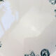 Lot de 6 assiettes plates Terre de Fer "Nénuphar" R&A Salins