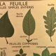 Nightingale educational poster