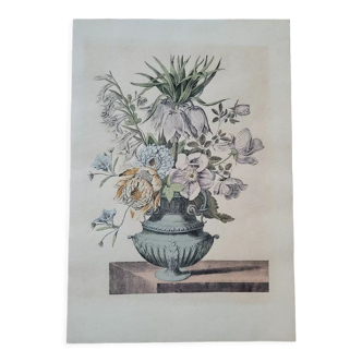 Gravure florale reproduction