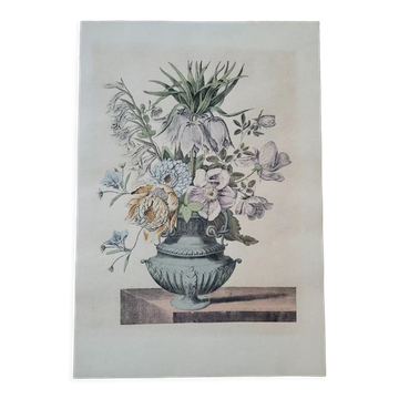 Gravure florale reproduction