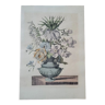 Gravure florale reproduction