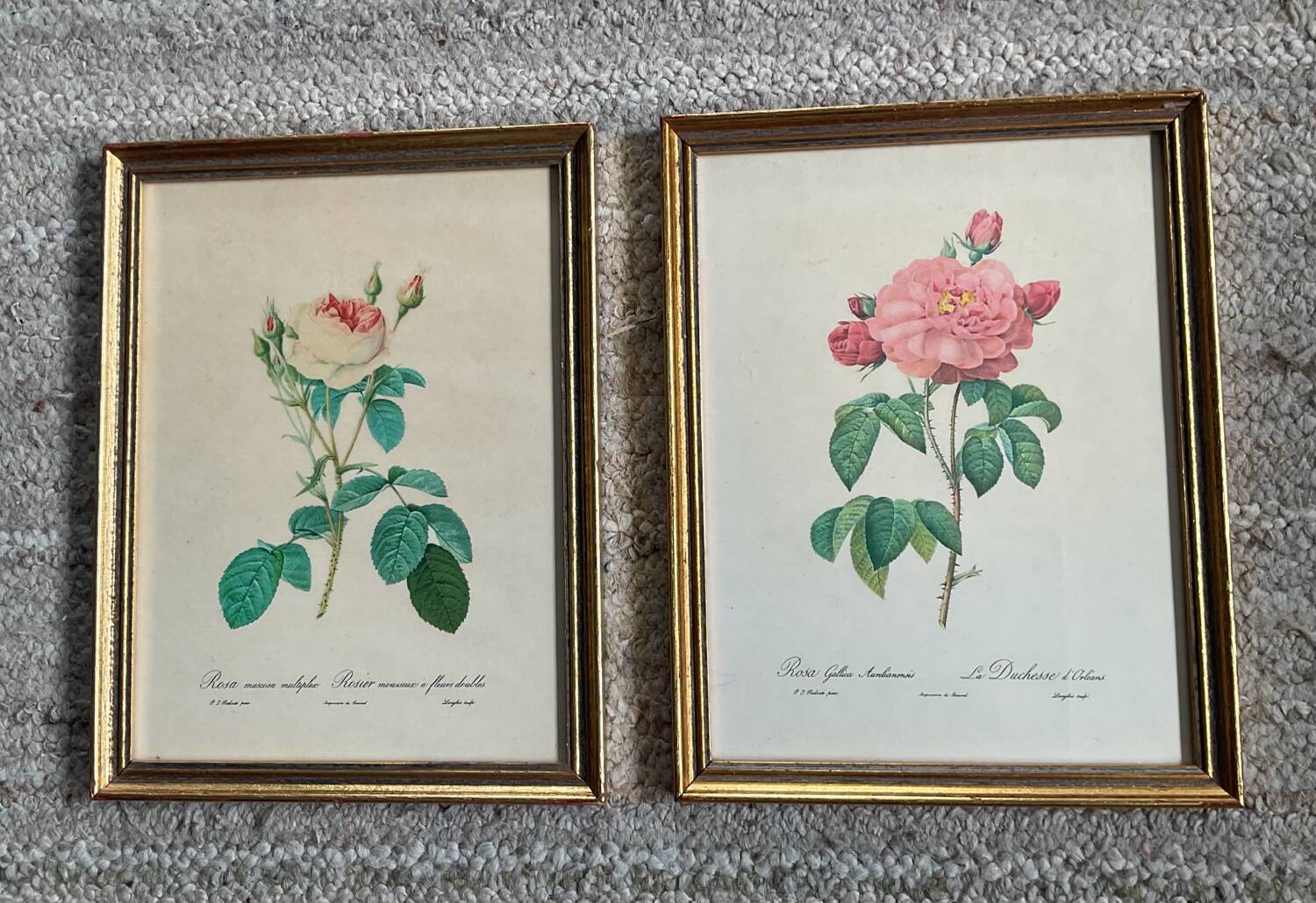 Pair of gilded wooden botanical frames from the 70s