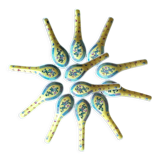 12 Chinese Mun Shou Spoons