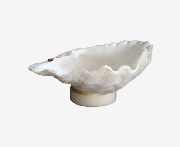 Vide poche coquillage, années 70