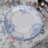 Flat plate Dauphin BFK