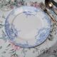 Flat plate Dauphin BFK