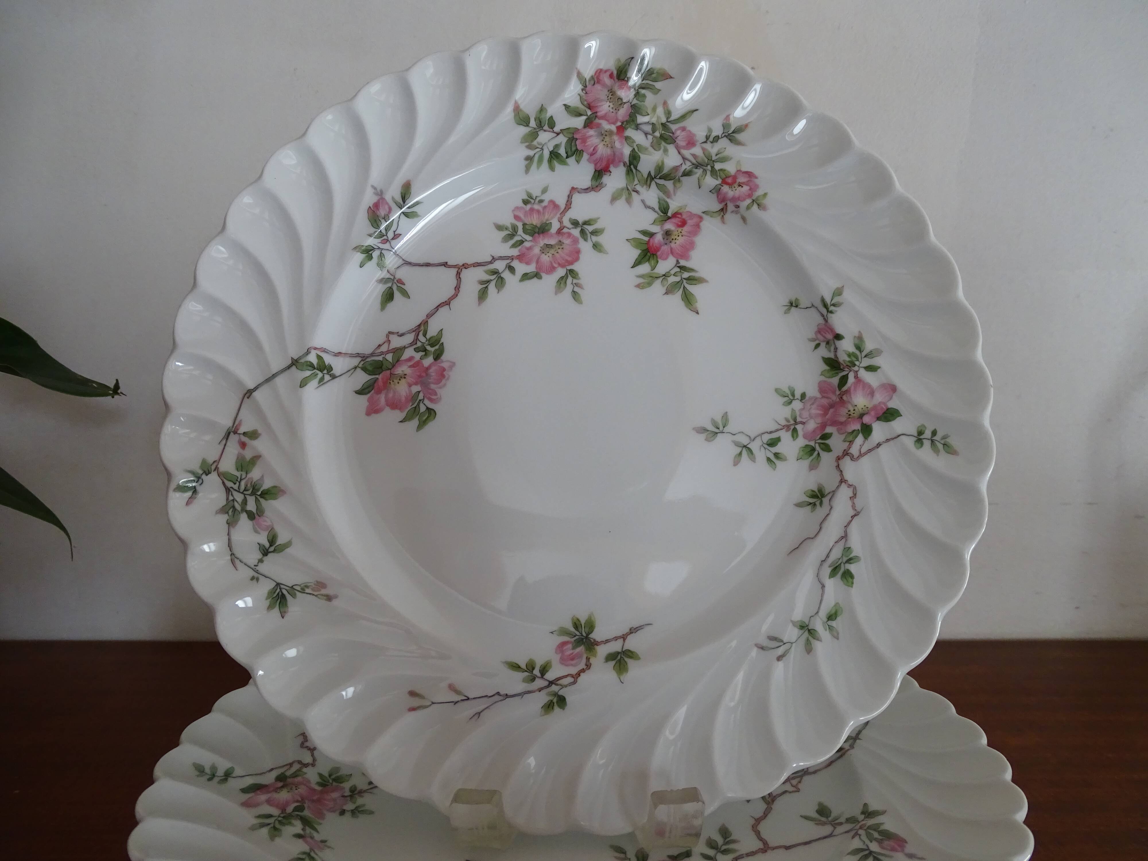 6 flat porcelain plates Limoges Haviland