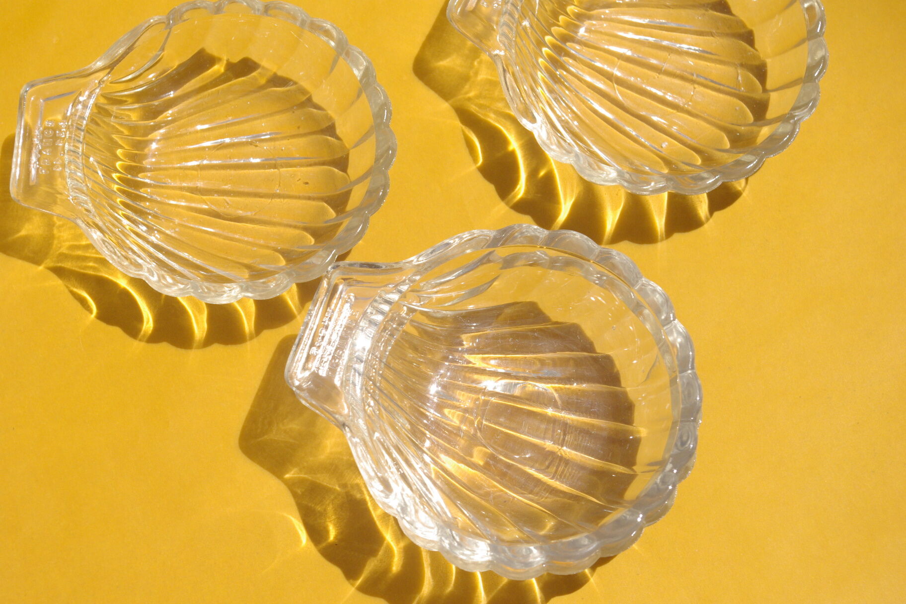 Lot of 5 cups in the shape of a clear glass shell