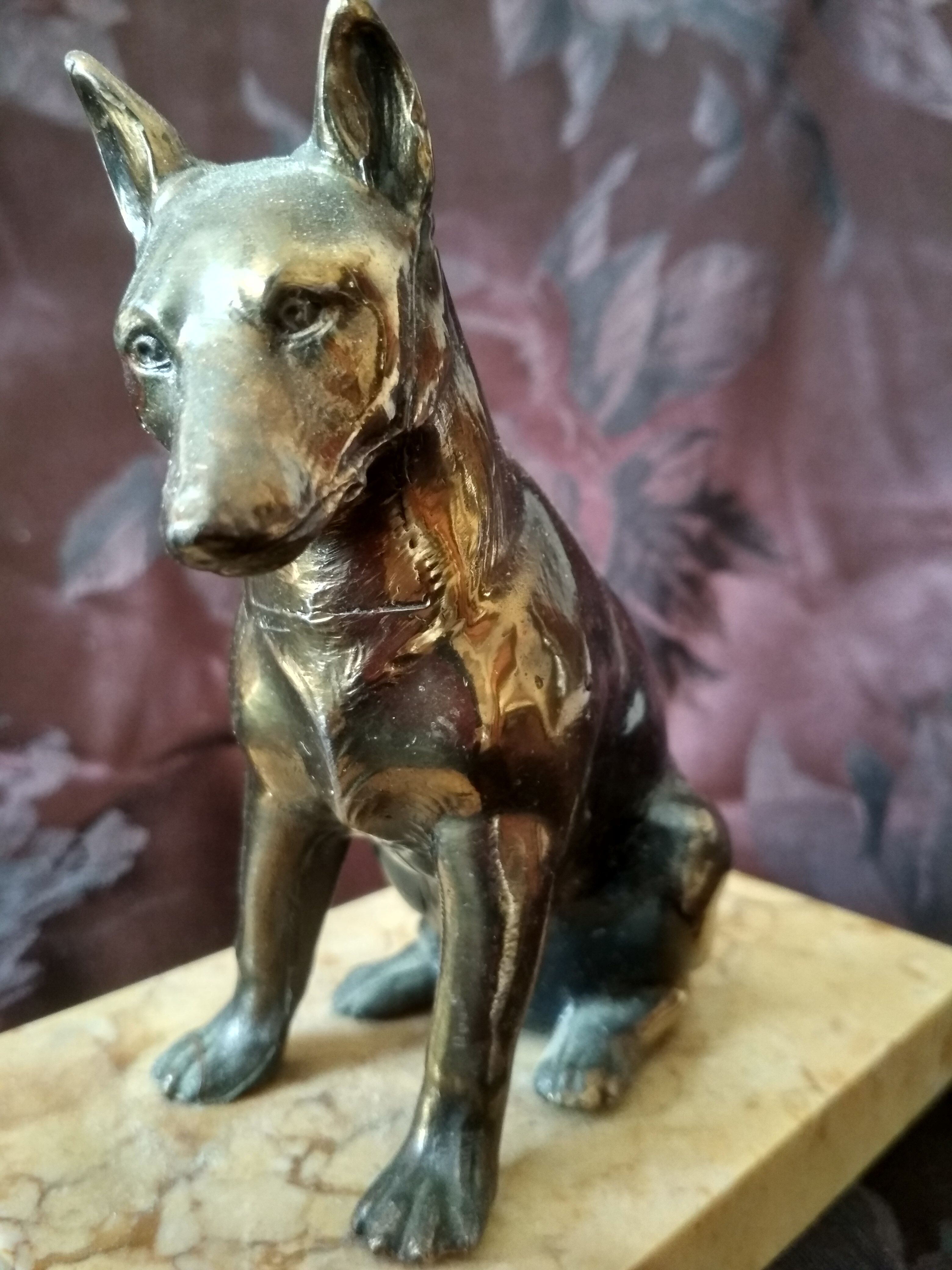 Greenhouse book dog sculpture regulates on marble slab