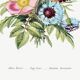 Poster featuring “Wild rose, cornflower and garden anemone”