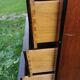 Navy weekly in solid mahogany, 7 drawers, National Airy, Type Glasgow