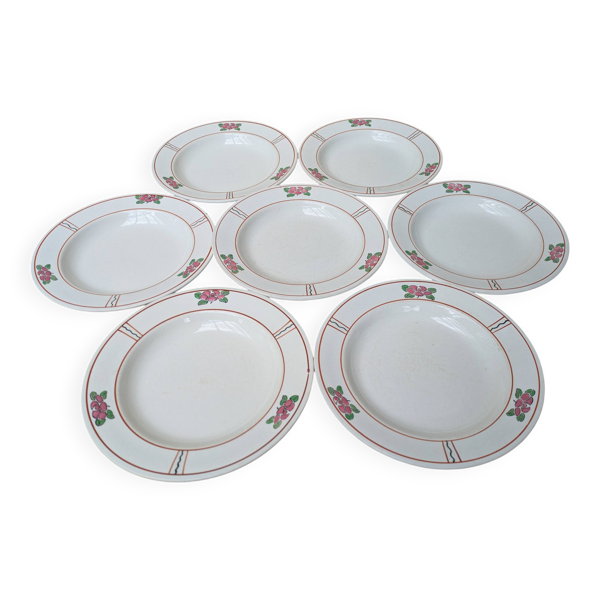 7 anciennes assiettes creuses en Terre de Fer Salins modèle Nénuphar 24.5cm