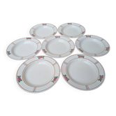 7 anciennes assiettes creuses en Terre de Fer Salins modèle Nénuphar 24.5cm