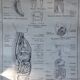 School poster science