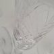 Champagne flutes