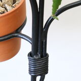 Door metal plants from the 70s