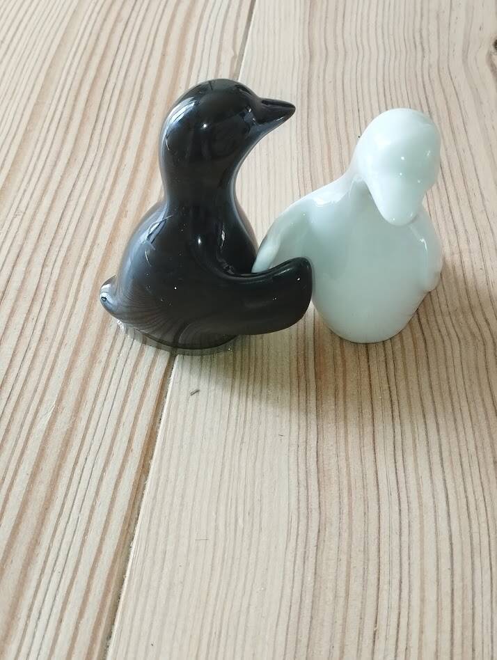 Duo de salières pingouins noir et blanc