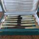 Box of 24 knives