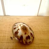 Shell and brass pill box