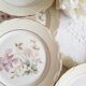 Lot 6 porcelain dessert plates from Limoges