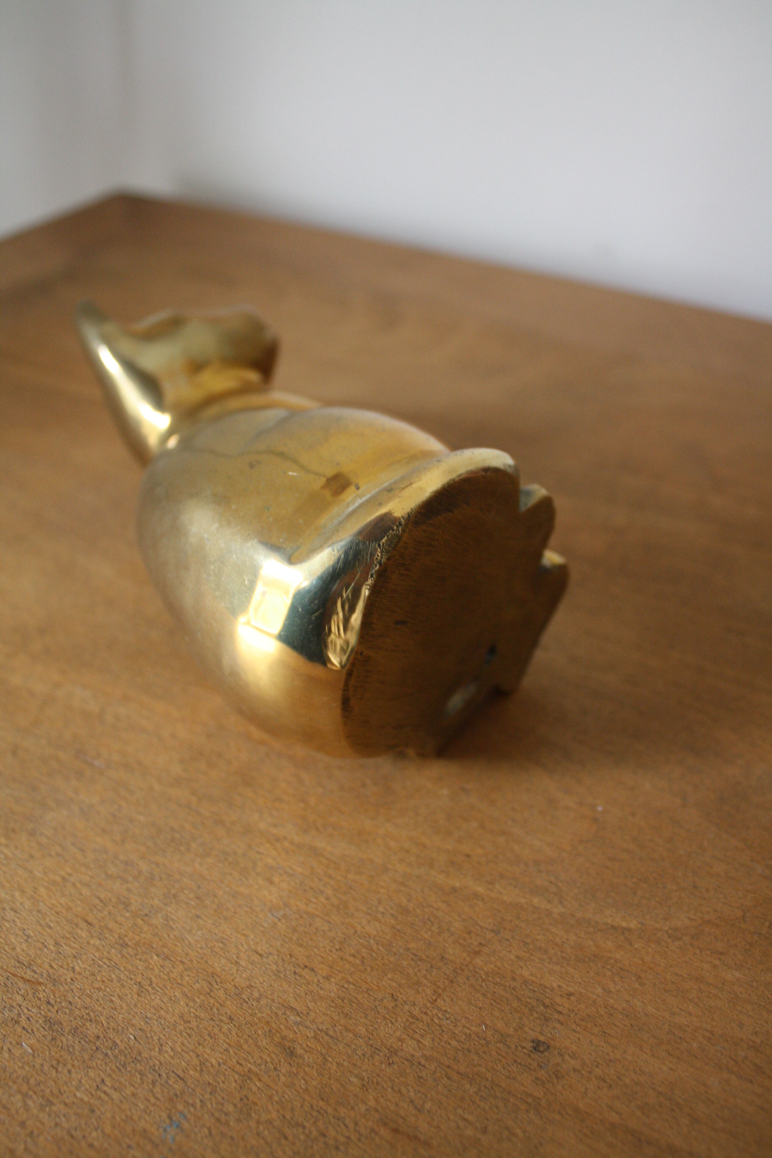 Cat sitting in brass