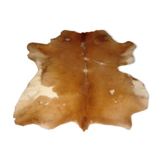 tanned goatskin of 1970, ideal descent of bed 40x34cm