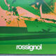 Old poster/original poster - Skis Rossignol, studio François Dardelet - ca 1970