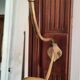 Cloakroom coat rack 1900