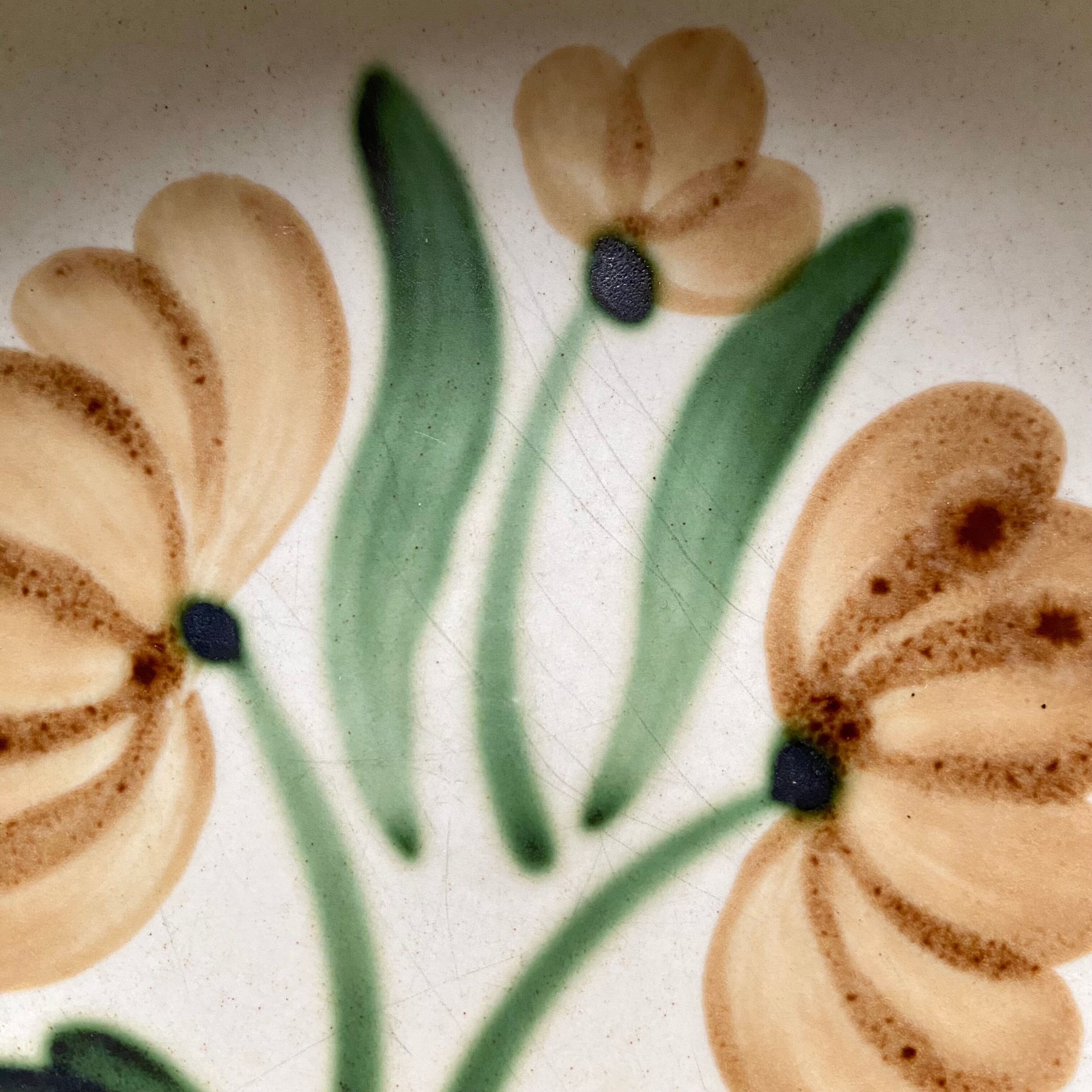 Assiettes creuse fleuries Salins France