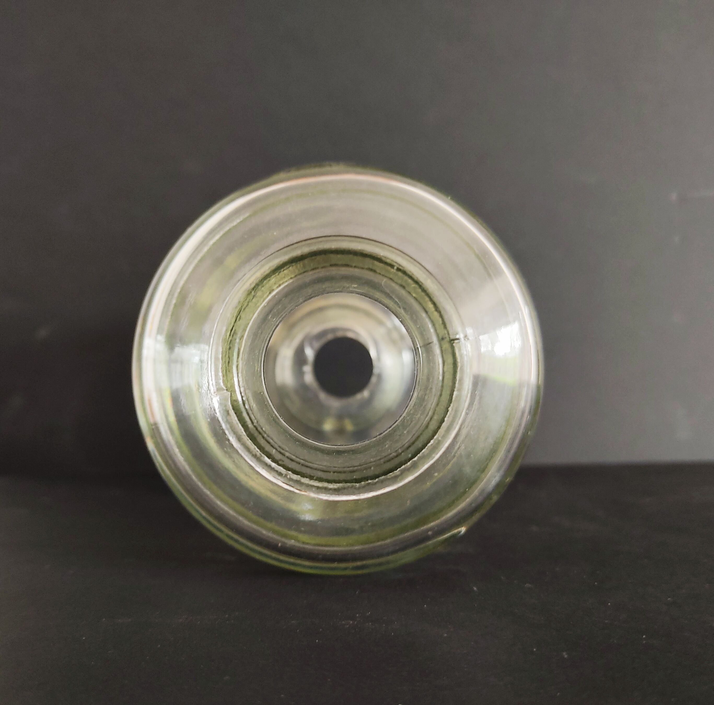 Flies and wasps gap early 20th