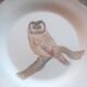 Ceramic plates. 70s/80s Work inspired by the 16th and 17th centuries.
