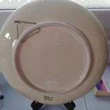 Plateau dragons Turkey
