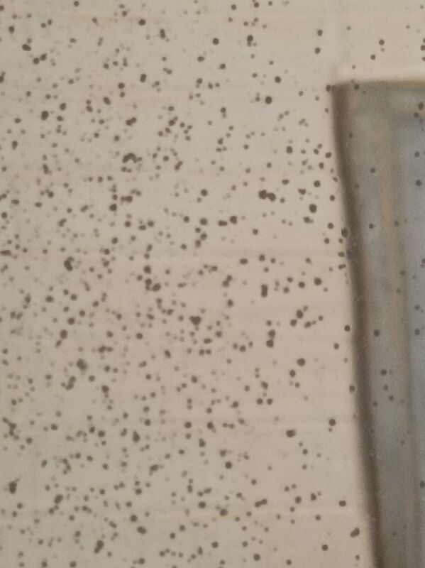 Mirror Frame wood plaster carved stucco