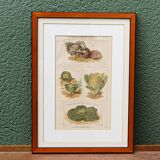 Set of 4 framed prints