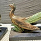 Pair of regulated and marble greenhouse books