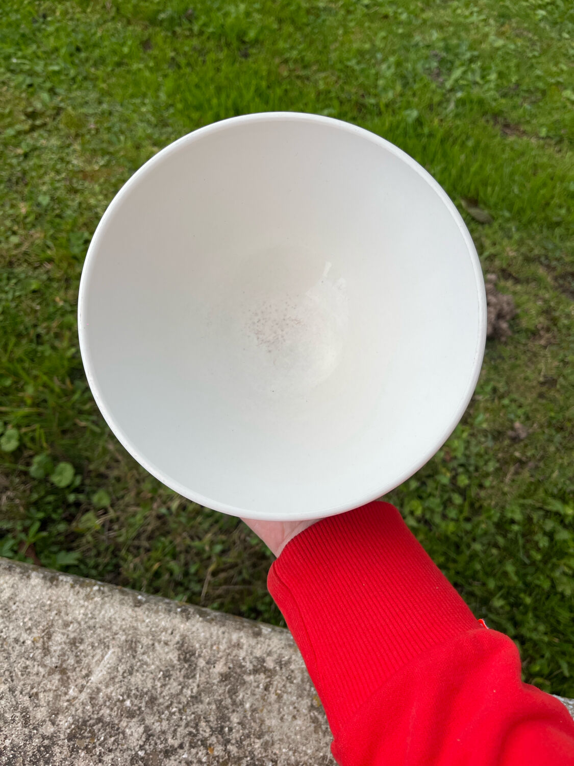 Old large Digoin Sarreguemines earthenware bowl, bamboo model