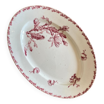 Old oval dish in iron earth