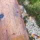 Table de ferme ancienne